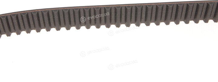 Gates K015567XS