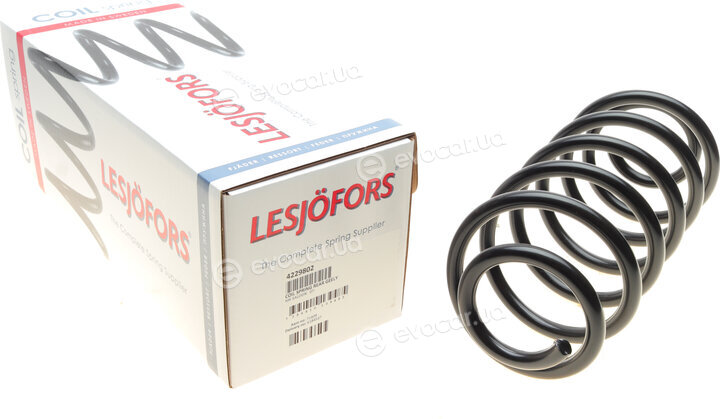 Lesjofors 4229802