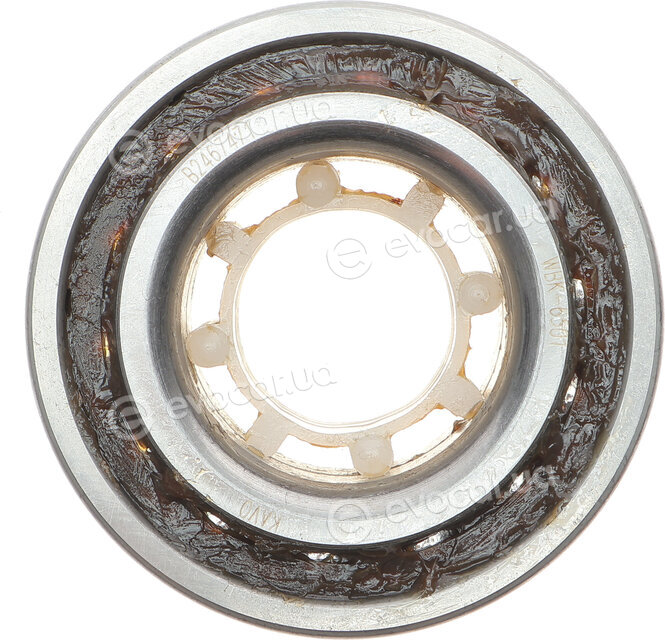 Kavo WBK-6501