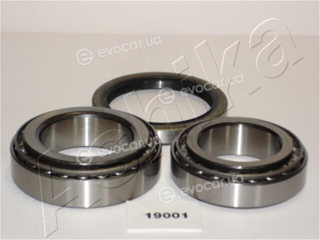 Ashika 44-19001