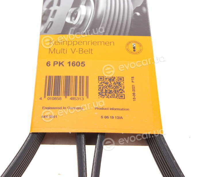 Continental 6PK1605