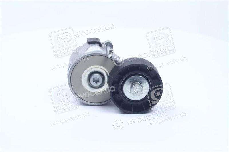 Dayco APV1078