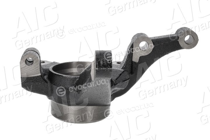 AIC 74666