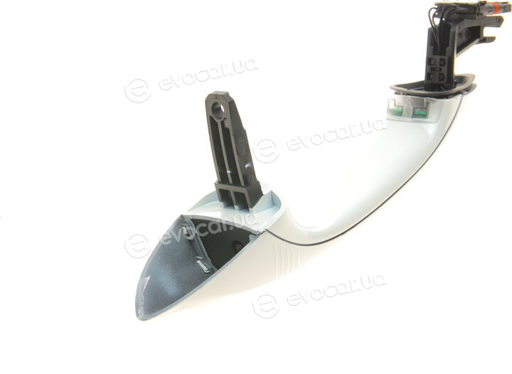 Solgy 305071