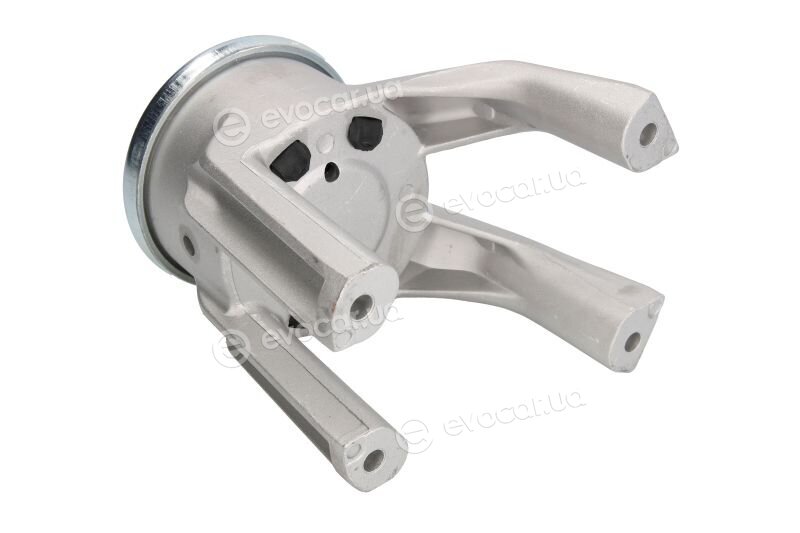 Reinhoch RH11-0126