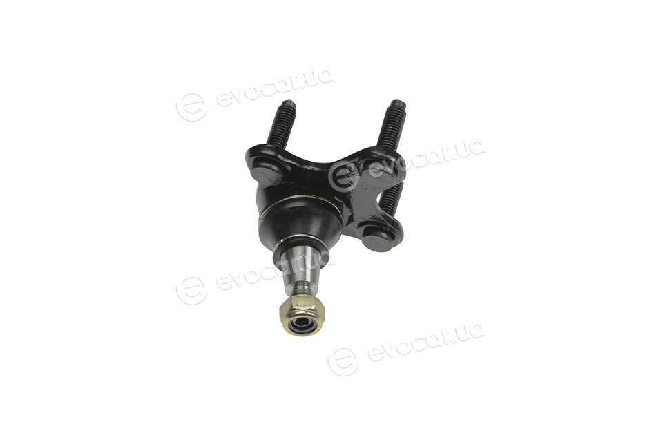 NTY ZSD-VW-010