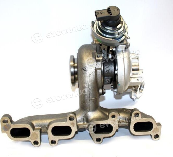 Starline TD S1199T