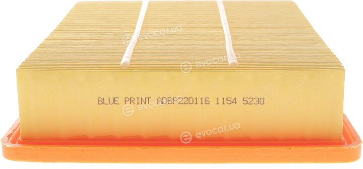 Blue Print ADBP220116