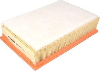 Filtron AP 140/1