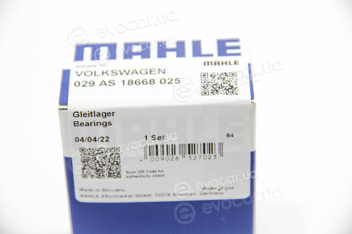 Mahle 029 AS 18668 025