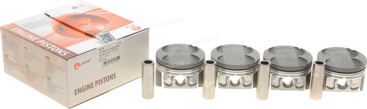 AMP PX-REN-4A-3841-100-C