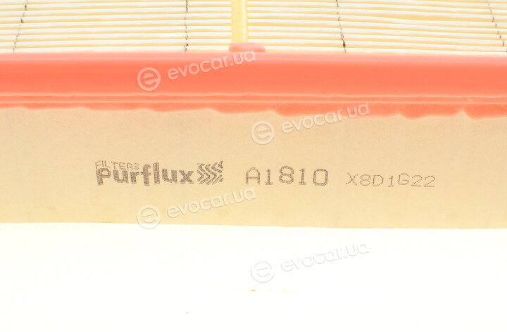 Purflux A1810