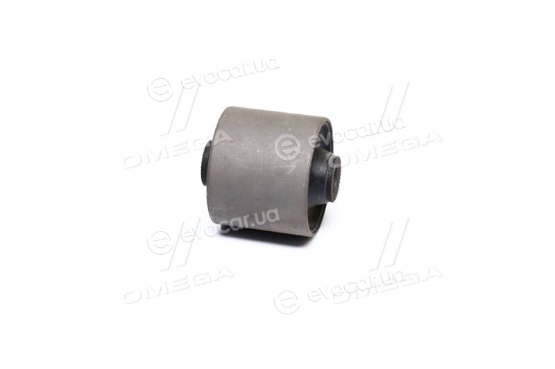 RBI K25S1W3