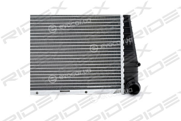 Ridex 470R0034