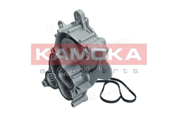 Kamoka T0286