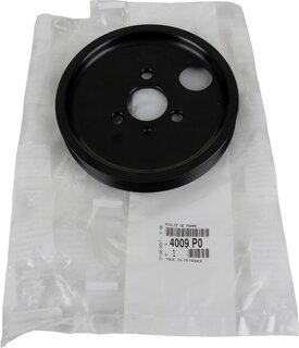 Mopar (PSA / FCA) 4009P0