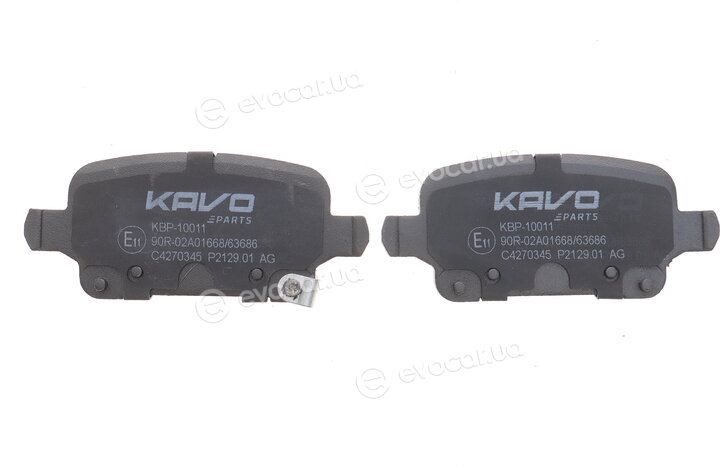 Kavo KBP-10011