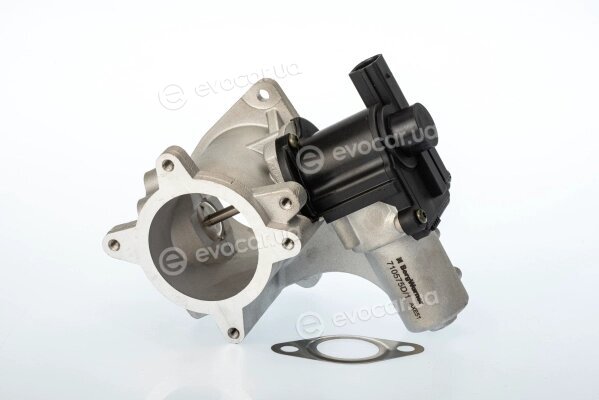 Wahler / BorgWarner 710575D