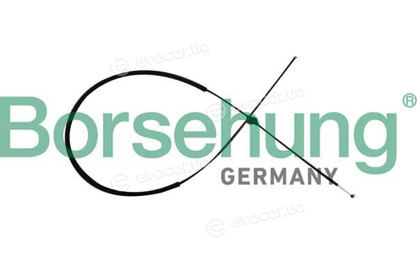 Borsehung B10782