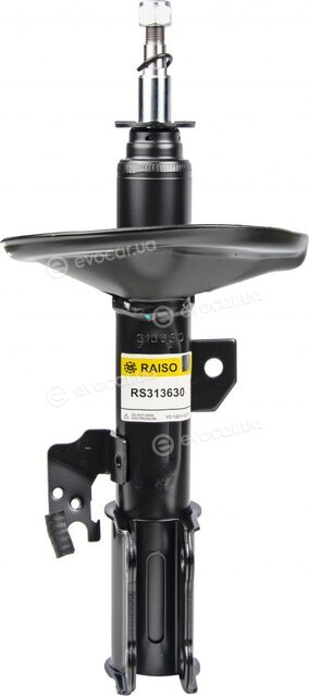 Raiso RS313630