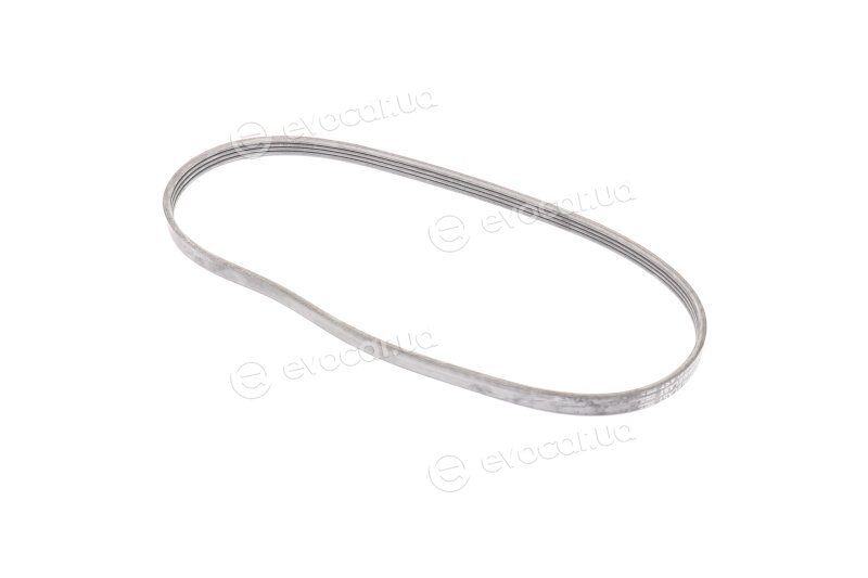 Continental 4PK922 ELAST