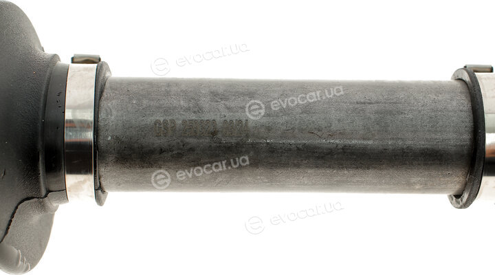 GSP 259323