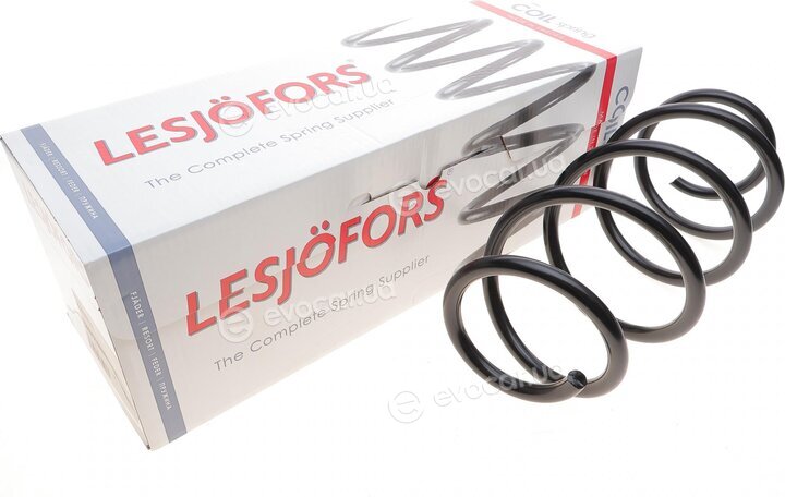 Lesjofors 4056931