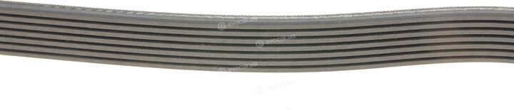 Gates 7PK1750
