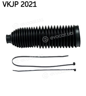 SKF VKJP 2021