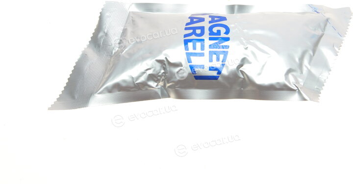 Magneti Marelli 302015100161