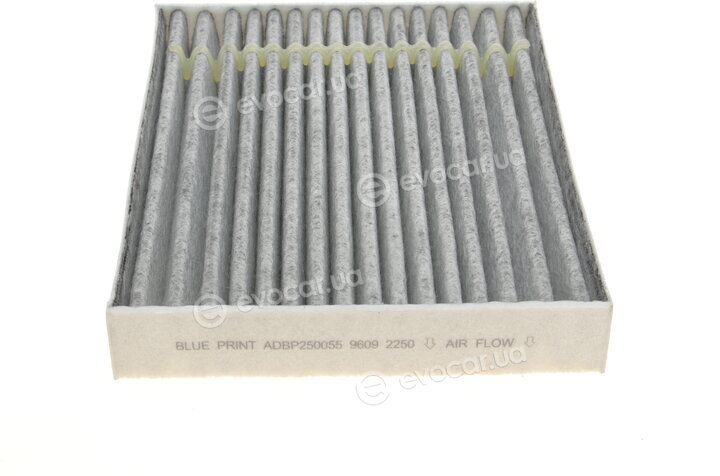 Blue Print ADBP250055