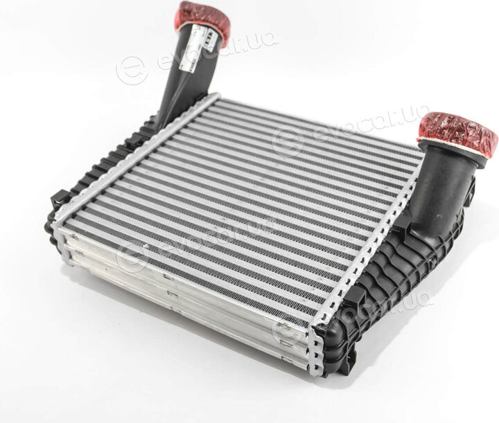 Mahle CI 141 000P