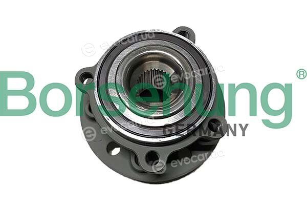 Borsehung B11717