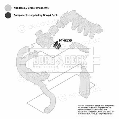 Borg & Beck BTH1235