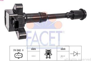 Facet 9.6461