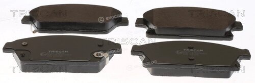 Triscan 8110 24039