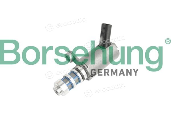 Borsehung B11858