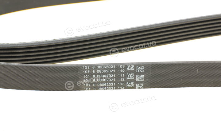 Continental 6PK1830