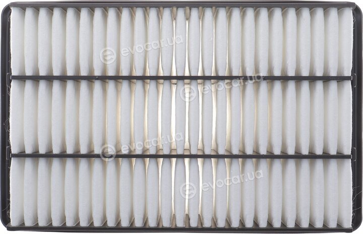 Solgy 103163