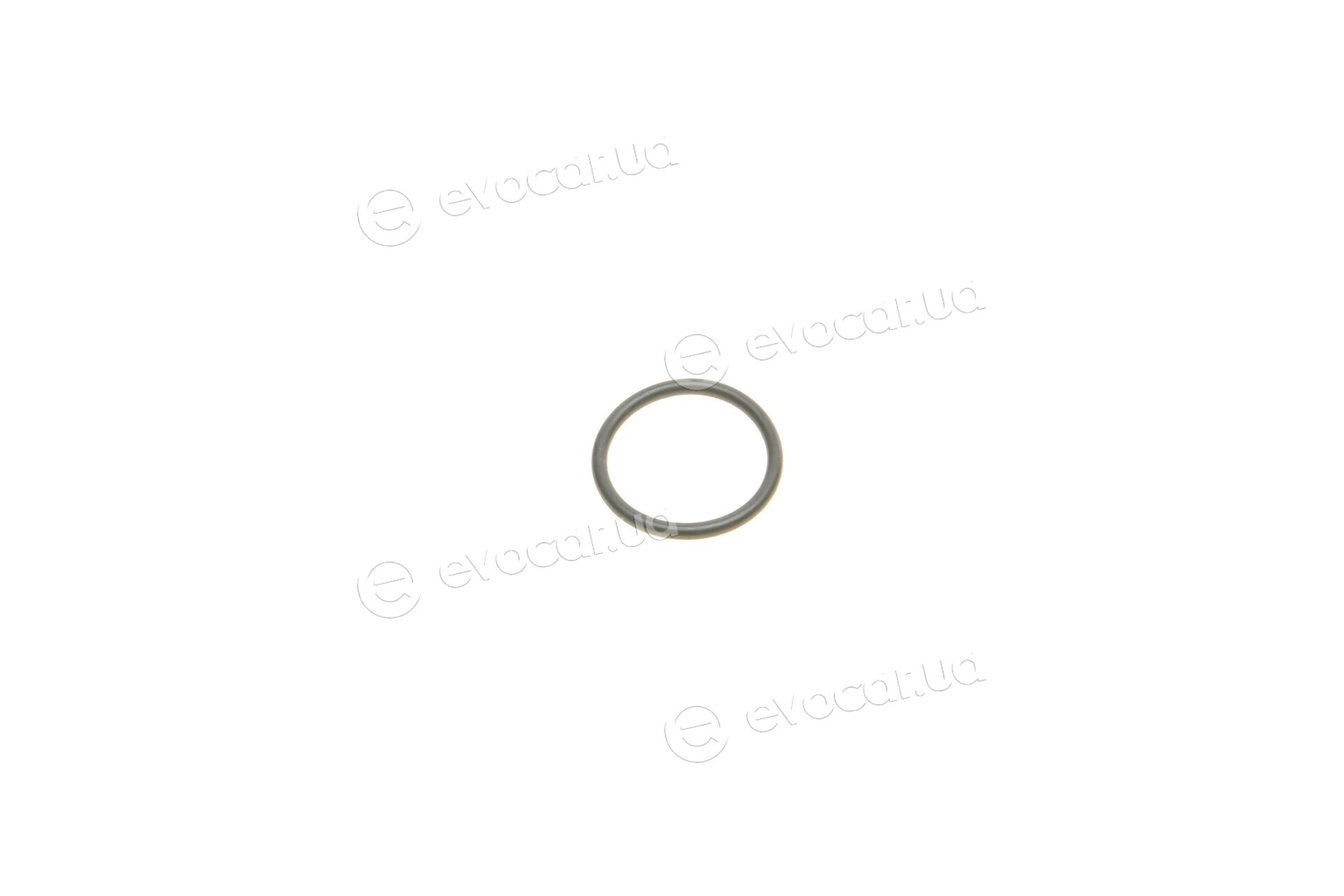 Elring 482.480