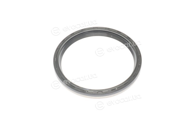 Elring 492.060