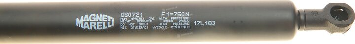 Magneti Marelli 430719072100