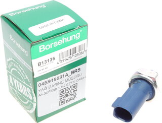 Borsehung B13136