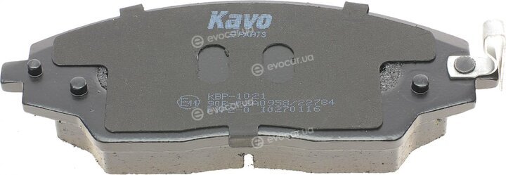 Kavo KBP-1021