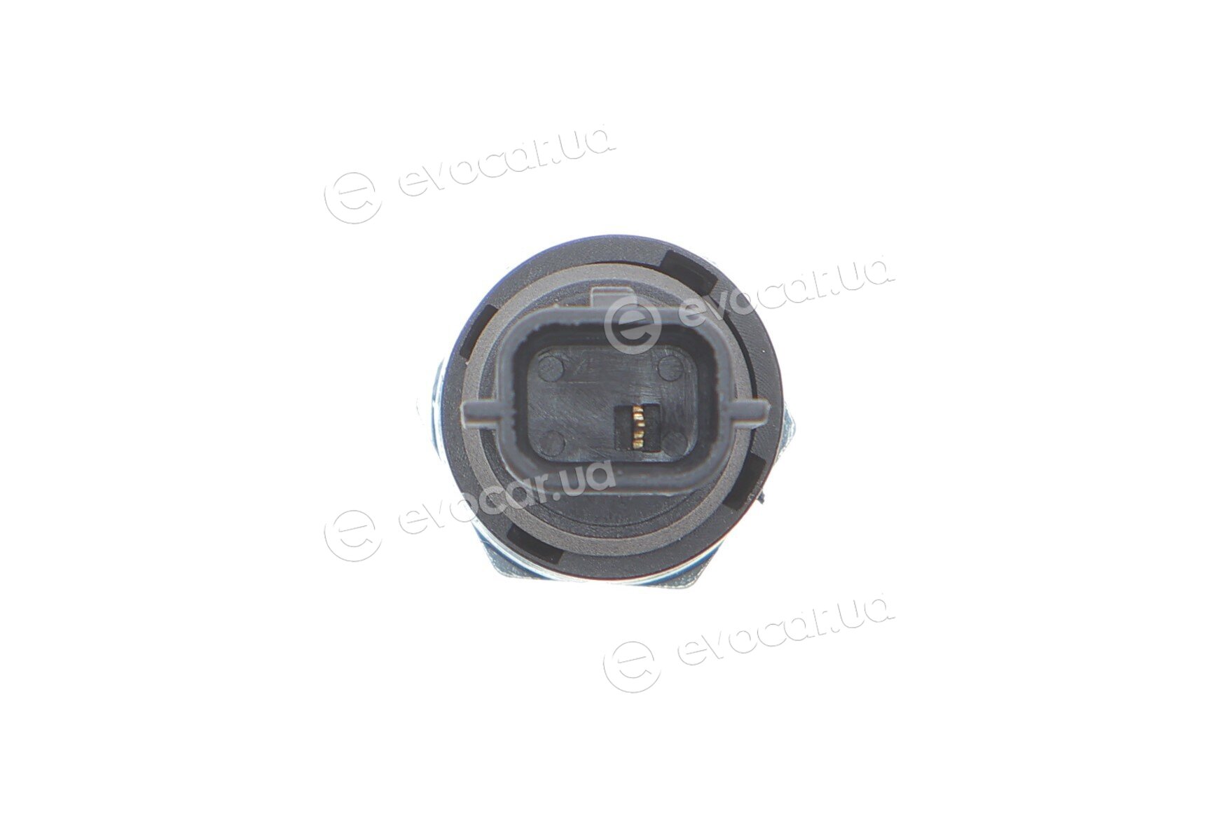 Delphi SW90048