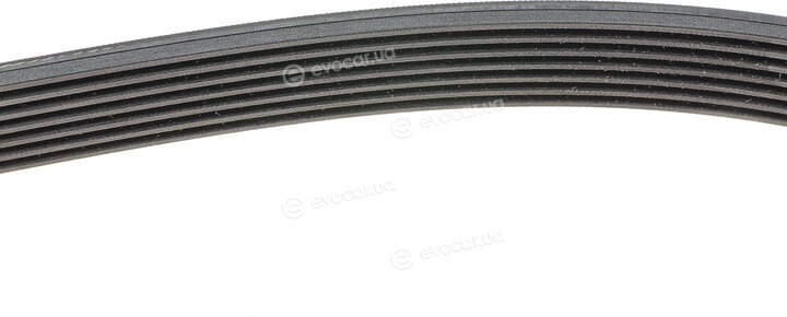 Continental 7PK1370