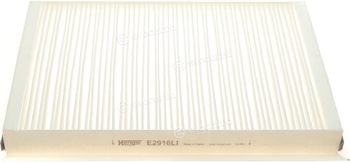 Hengst E2916LI