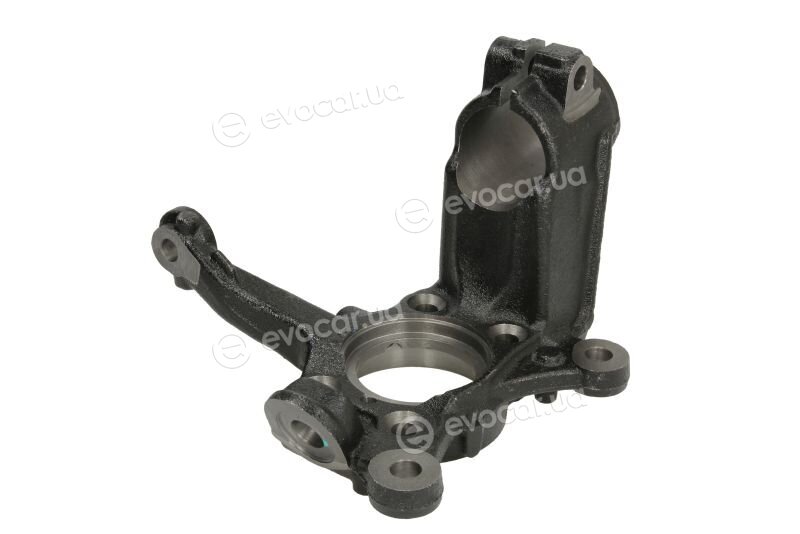 Reinhoch RH08-0021