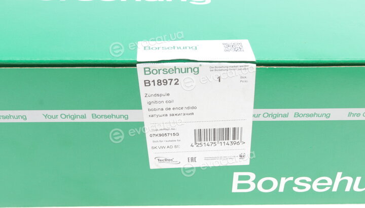 Borsehung B18972