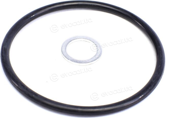 Solgy 101027